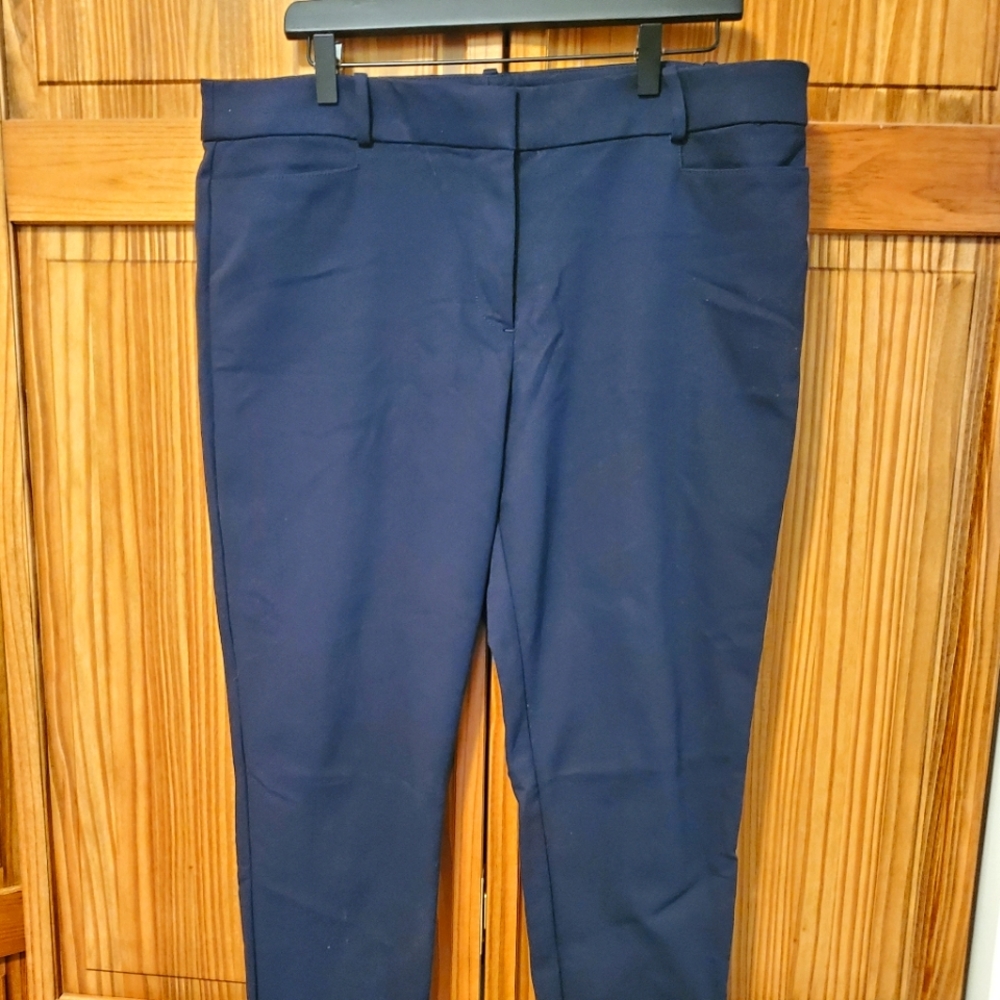 LOFT Skinny Cropped Pants